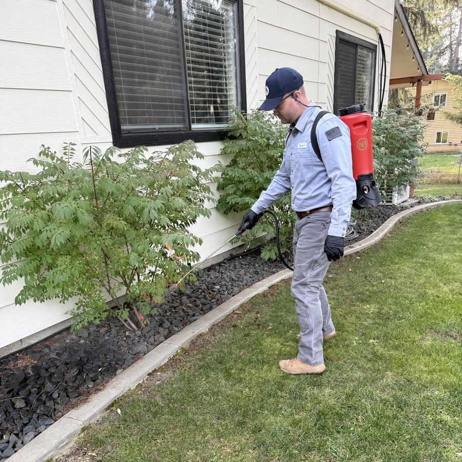 Lion Gate technician treating shrubs along a home foundation